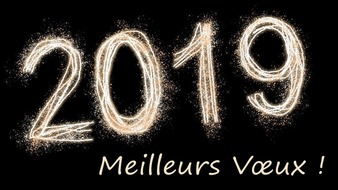 MEILLEURS VOEUX 2019