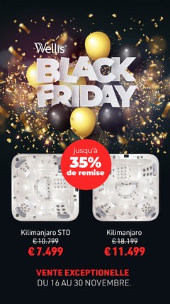 Black Friday Wellis