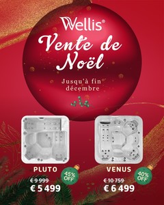 Vente de Noël Wellis